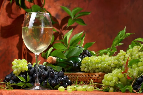 Vino bianco secco, grappoli d'uva freschi — Foto Stock