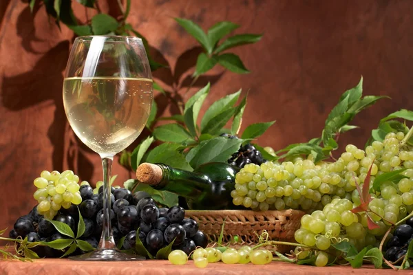 Bílé suché víno, čerstvé clustery hroznů — Stock fotografie