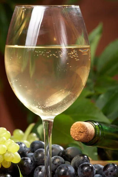 白色干葡萄酒、 集群的葡萄 — 图库照片