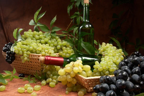 Белое сухое вино, гроздья винограда — стоковое фото
