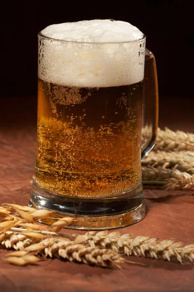 Glass of beer with grain — Stock Photo, Image