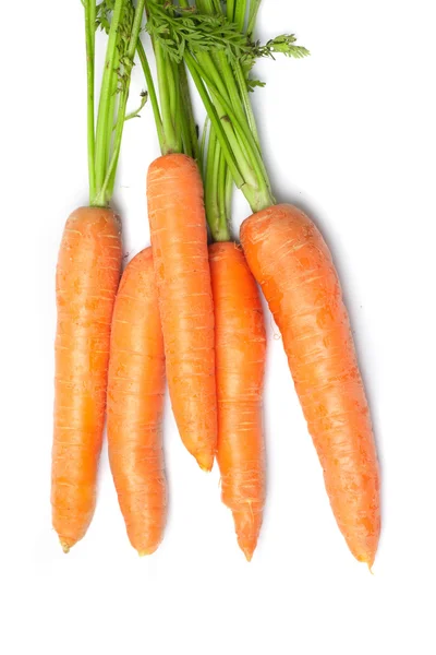 Légumes frais carottes — Photo