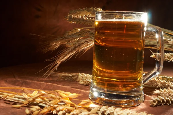 Glas Bier mit Korn — Stockfoto