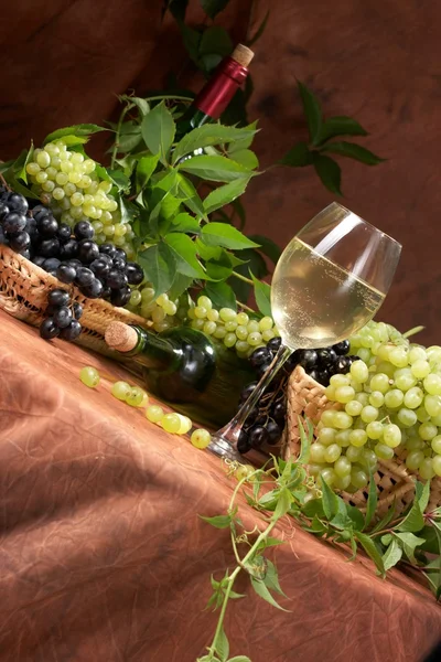 Λευκό ξηρό κρασί, συστάδες των σταφυλιών — Φωτογραφία Αρχείου
