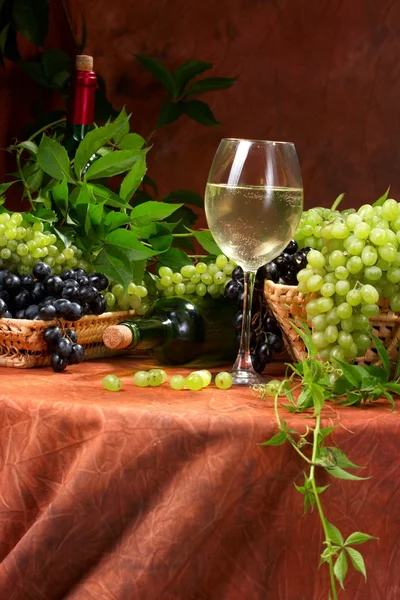 Vino secco bianco, grappoli di un'uva — Foto Stock