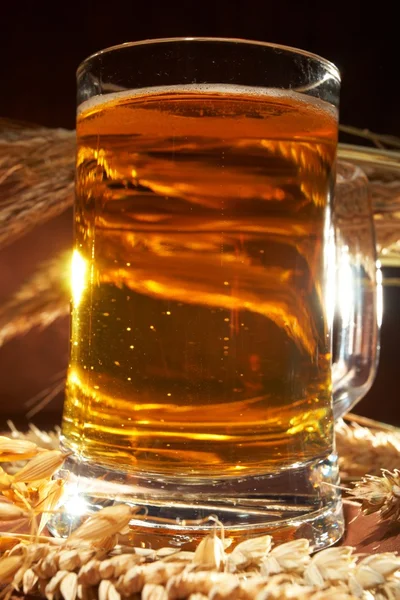 Стакан пива с зерном — стоковое фото
