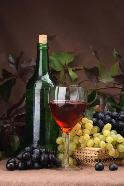 Vinglas med flaska för vinprovning — Stockfoto