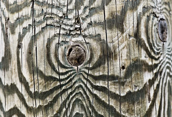 stock image Wood texture