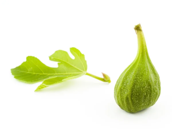 Fig verde — Foto de Stock