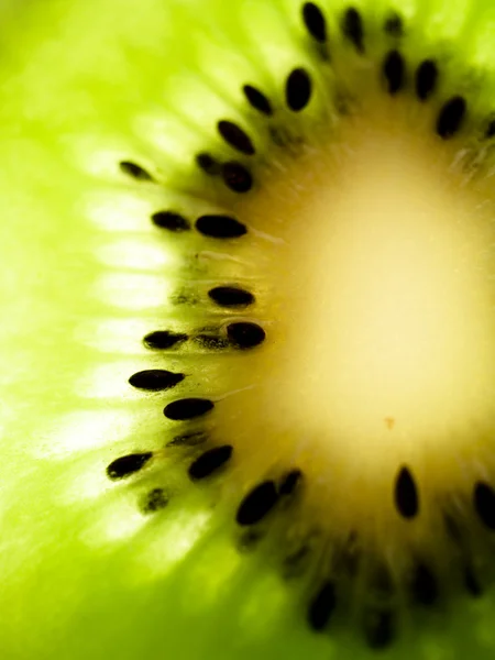 Kiwi-schijfje — Stockfoto