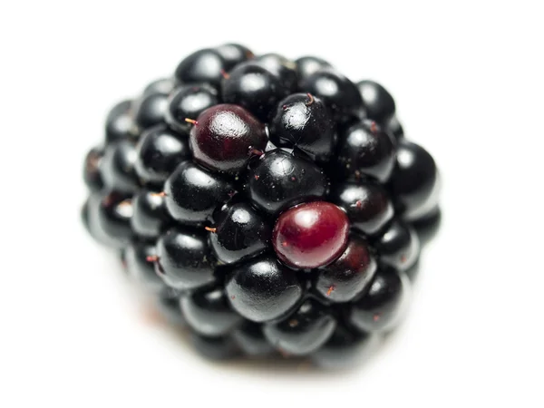 黑莓或荆棘 — 图库照片