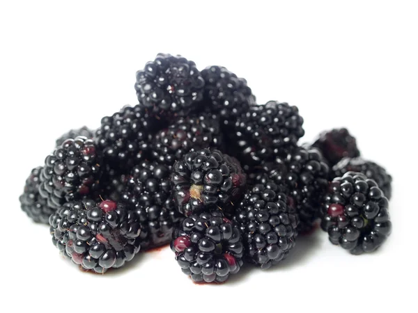 黑莓或荆棘 — 图库照片