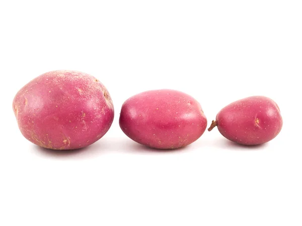 Frühkartoffeln — Stockfoto