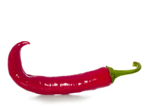 Csípős chili paprika — Stock Fotó