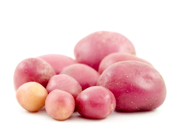 Spring Potato — Stock Photo, Image