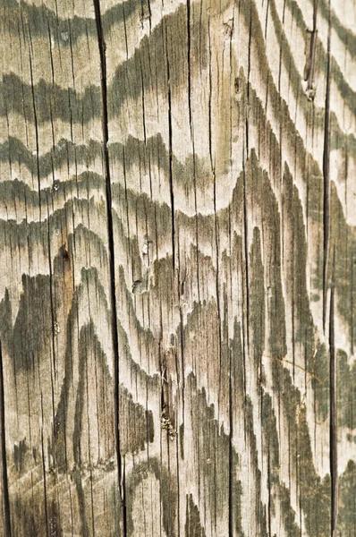 stock image Wood texture