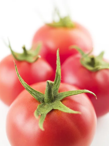 stock image Tomato