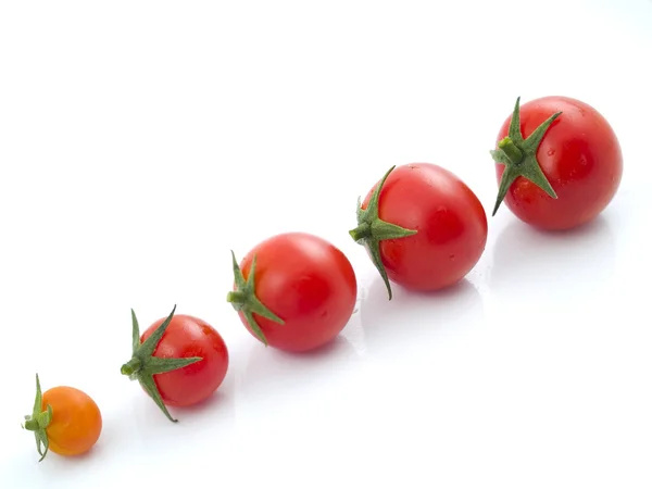 stock image Tomato