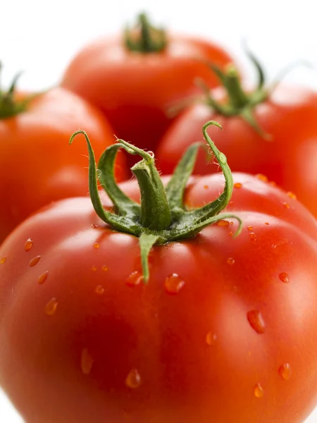 stock image Tomato