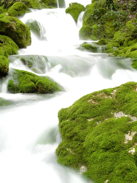 stock image Waterfall