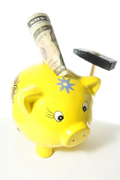 Piggy bank with dollar cash — Stock Photo, Image