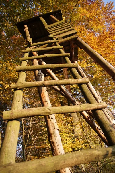 stock image Ladder to hunter cottage