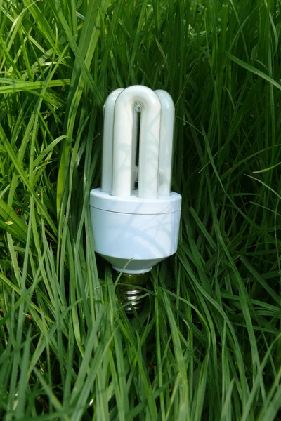 生态灯泡在草地上 — 图库照片