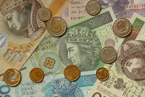 All of polish currency — Stock Photo, Image