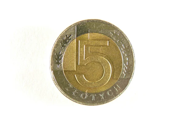 Five zloty — Stock Photo, Image