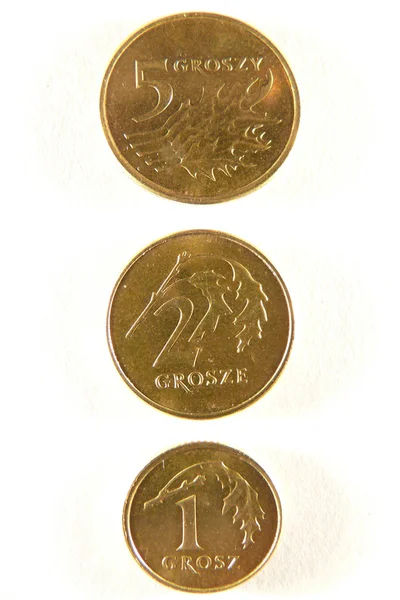 Monedas pequeñas polacas — Foto de Stock