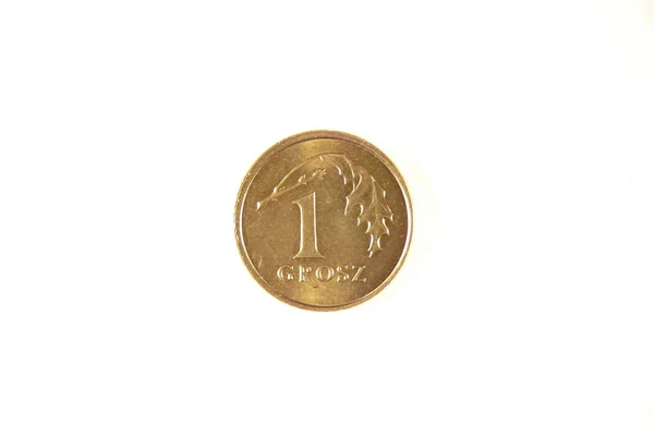 Polish one grosz coin — Stock Photo, Image