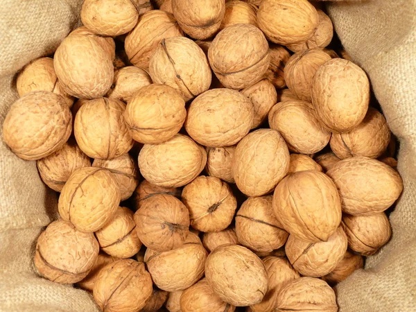 Walnuts in bag — Stock Photo, Image