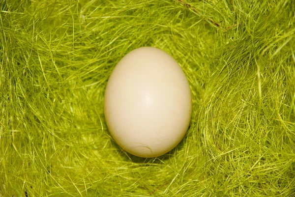 गवत वर अंडी — स्टॉक फोटो, इमेज