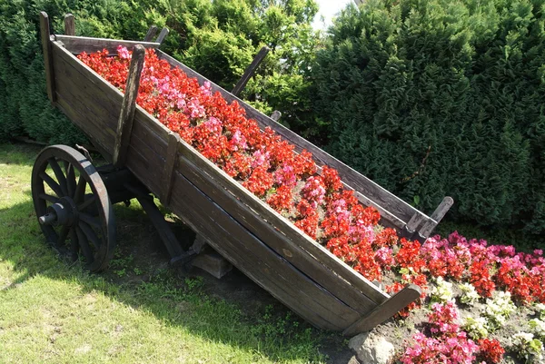 stock image Chariot with flowers