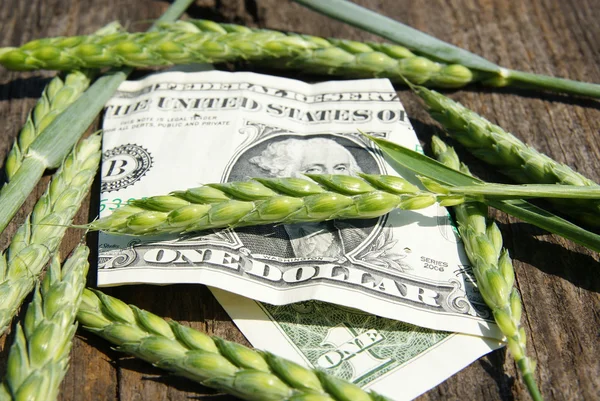 Ear of wheat and one dollar — Stock Photo, Image