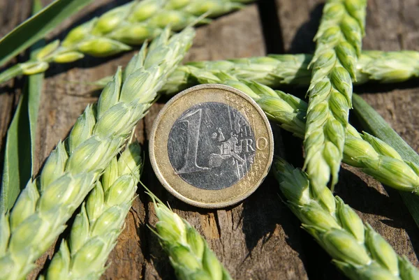Ear of wheat and one euro — Stock Photo, Image