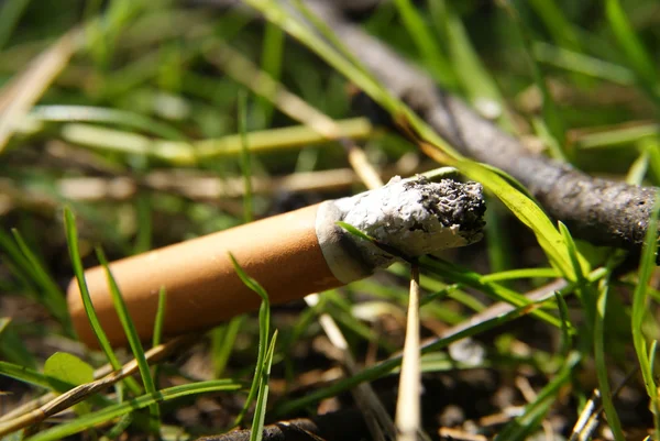 Fag end in grass — Stock Photo, Image