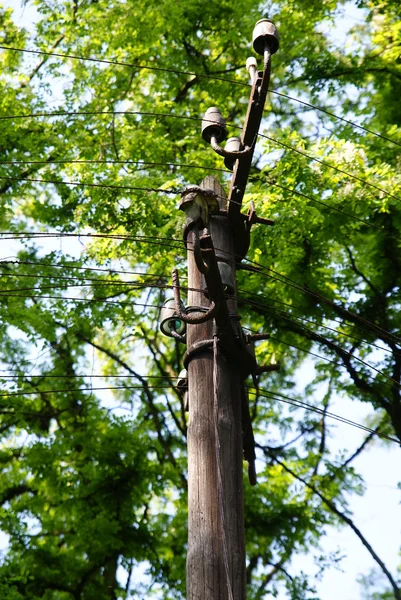 Hout mast onder boom — Stockfoto