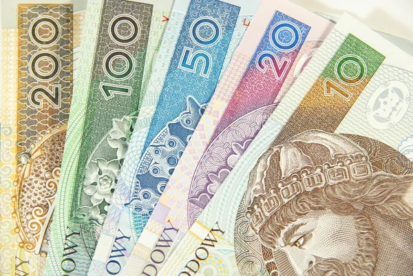 Polish cash between ten to two hundred — ストック写真