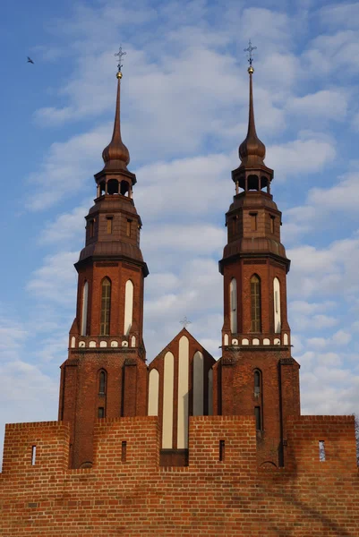 Turnuri de catedrală sub cer — Fotografie, imagine de stoc