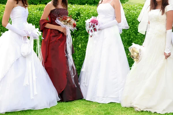 Čtyři nevěsty — Stock fotografie