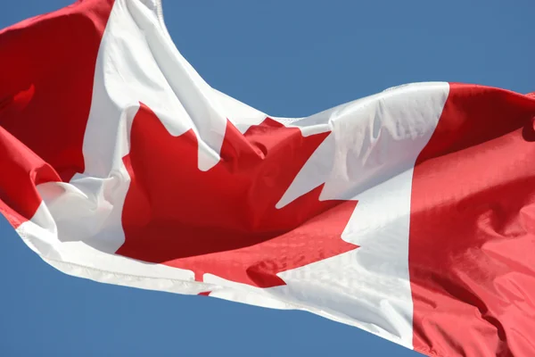 stock image Waving flag of Canada