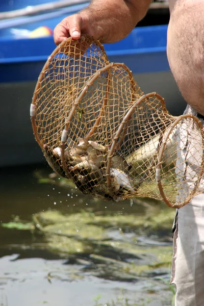 stock image Fisherman