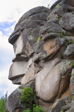 Polonyalılar rock 