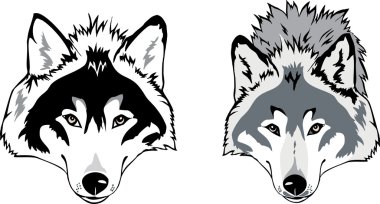 Wolf head vector clipart