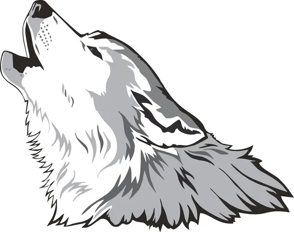 Vecteur tête de loup — Image vectorielle
