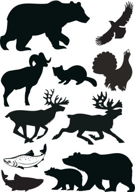 Wild animals clipart