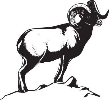 Snow ram clipart