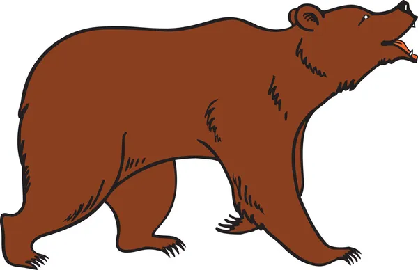 Grizzlybjörn — Stock vektor
