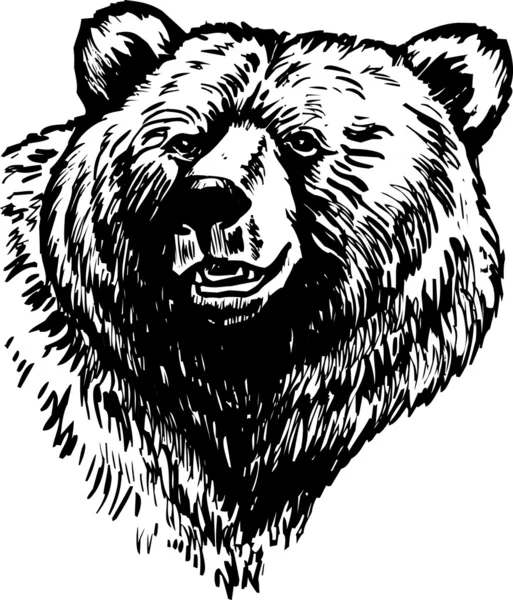 Niedźwiedź Grizzly — Wektor stockowy